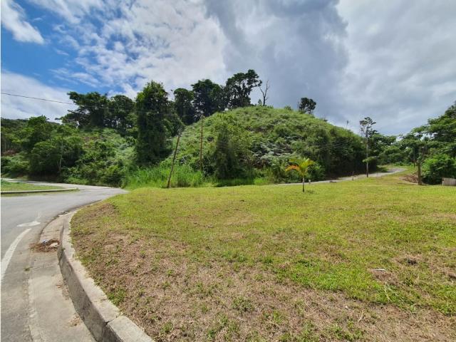 VENTA TERRENO URBANIZACION GUAICAIPURO AV PANAMERICANA LOS TEQUES