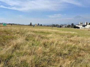 VENTA TERRENO USO DE SUELO MIXTO EN SAN PABLO AHUATEMPAN PUEBLA TER_5303 PUE/GC