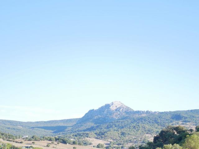 VENTA TERRENO ZONA MULERA