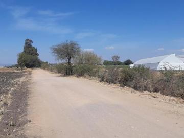 VENTA | Terreno 5 ha. con riego por goteo | titulo de propiedad