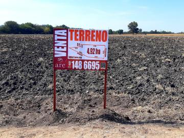 VENTA | Terreno 5 ha. con riego por goteo | titulo de propiedad