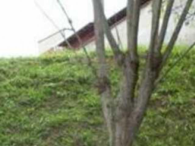 Venta terreno 600m2 La Boyera 3052
