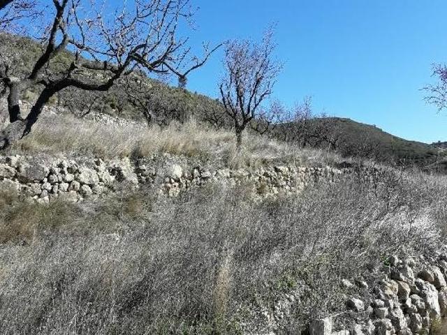 Venta Terrenos Tirig Castellon DLS83121618