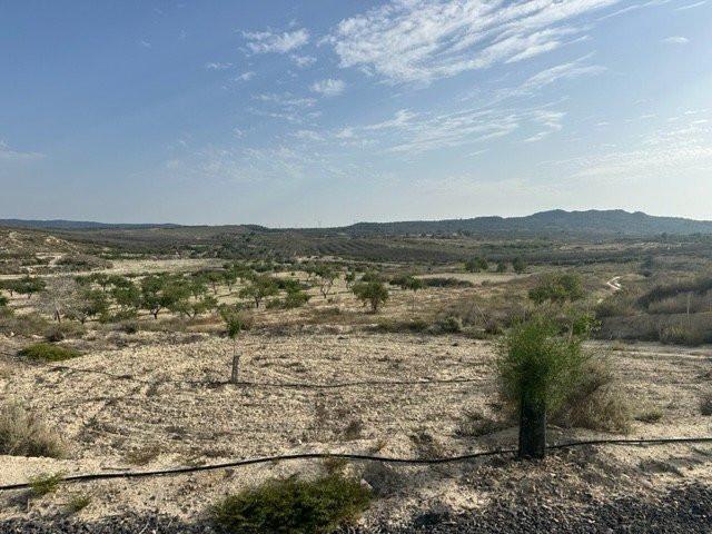 Venta Terrenos Torremendo Alicante DS92745880