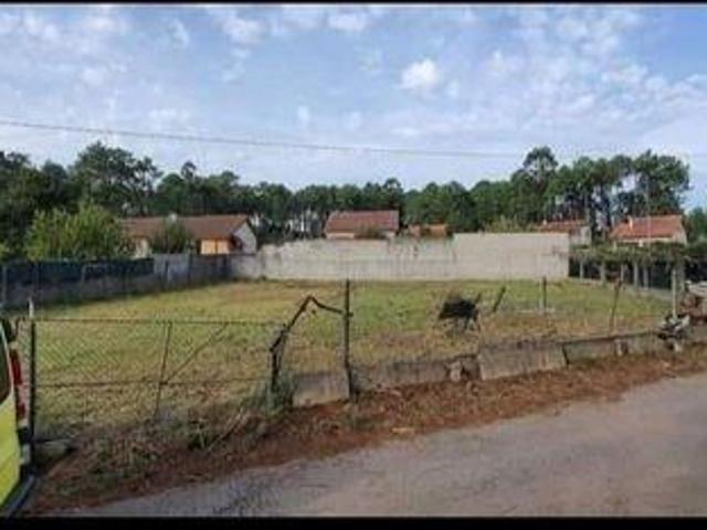 Venta Terrenos Caniza A Pontevedra DS89517665