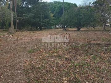 Venta: Terrenos en Cabuya de Chame