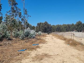 Venta terrenos horcón, puchuncaví