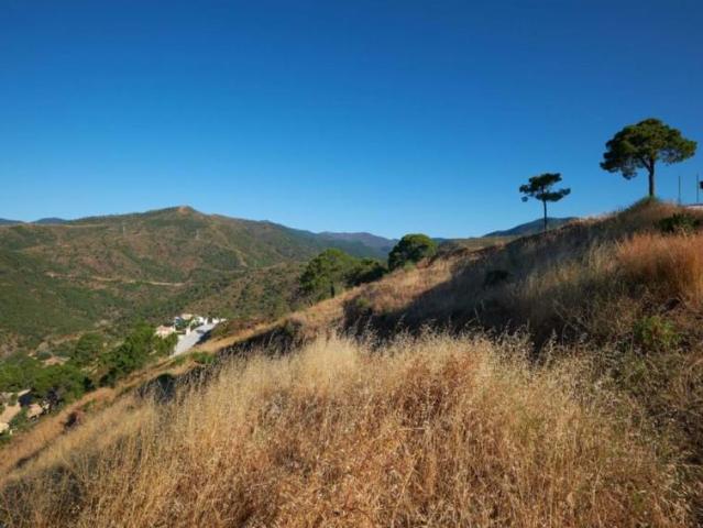 Venta Terrenos Málaga Andalusia DS95563550