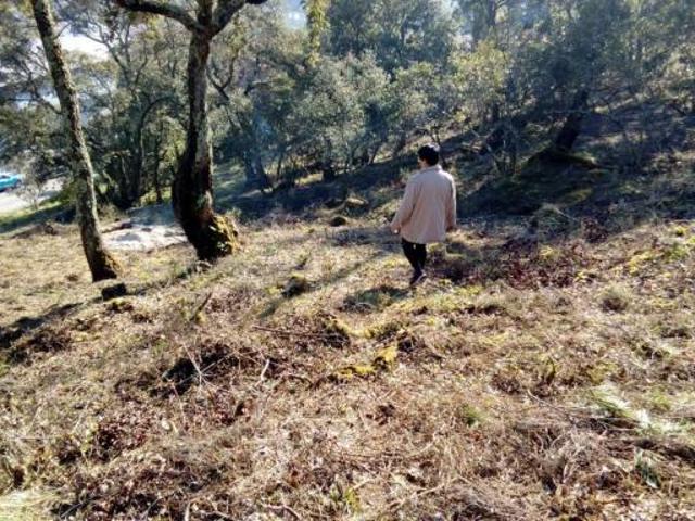 Venta Terrenos San Cibrao Das Viñas Orense DS86150860