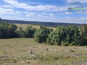 Venta Agricola Ancud campo de 310 hectáreas con orilla del Río Puntra