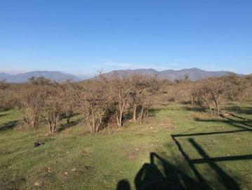 Venta Agricola Melipilla Codigua Melipilla