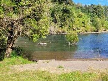 Venta campos rio bueno sector carimallin