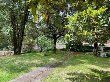 VENTA CASA DE UN SOLO NIVEL FRACCIONAMIENTO MONTEBELLO V348