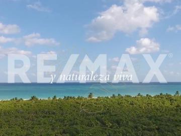 VENTA CASA ISLA HOLBOX
