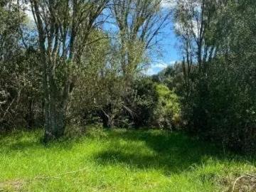 Venta casa parcela sector Pumalal | 3 Dormitorios por 160000. 00 en Lautaro