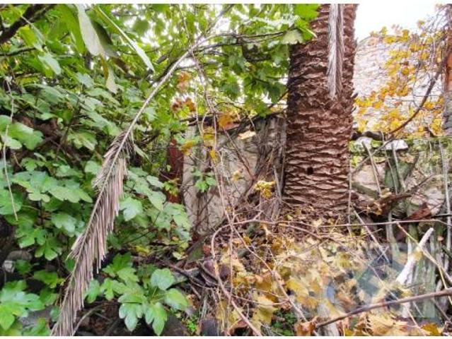 Venta Casa Pozoblanco Pozoblanco DS84647175