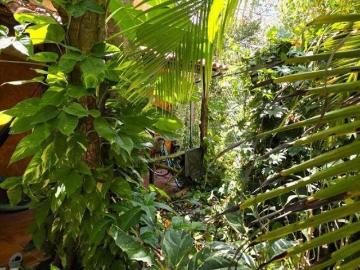 Venta Casa 3 Rec El Tigrillo Playa del Carmen