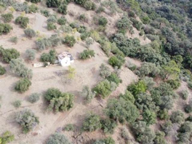 Venta Casas Rurais Genalguacil Málaga DS45524281