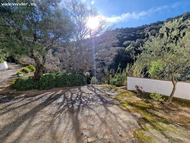 Venta Cortijo 1936 en los Montes de Málaga – Un Paraíso en la Naturaleza Mediterránea
