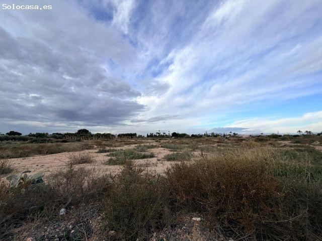 VENTA DE 4 PARCELAS EN PERLETA, ELCHE ALICANTE