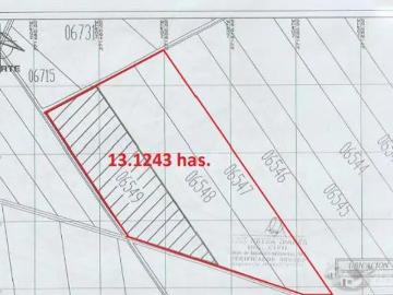 Venta de 13.68 has en Caucato alto – San Clemente Pisco