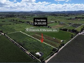 Venta de 1 hectarea en san pedro amazcala a 10 min de zibata