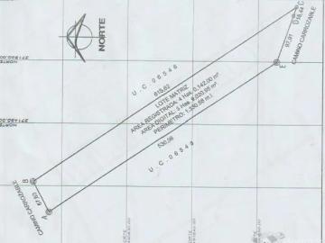 Venta de 1 parcela agrícola de 4.0142 has en Caucato alto – San Clemente Pisco