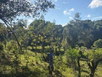 Venta de 1.5 Hectaraes a 5 min de Pakal Na