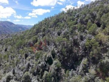VENTA DE 20 HECTÁREAS EN ACAXOCHITLÁN