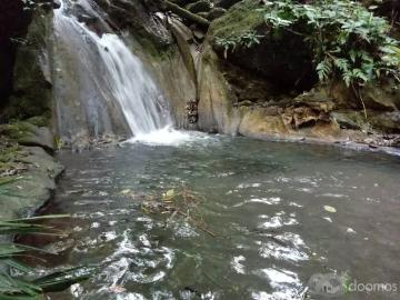 VENTA DE 2 TERRENOS DE 117 Ha. Y 67 Ha. EN EL DISTRITO DE PALCAZÚ
