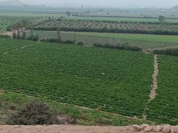 Venta de 2 terrenos frente al Megapuerto de Chancay