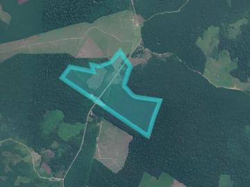 VENTA DE 3 HECTAREAS EN PREDIO LA ESTANCIA