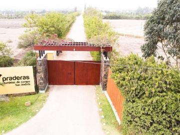 Venta de Terreno Mala Cañete Campo 2,231 m2 Condominio Praderas San Andres km 75.5 Pan. Sur