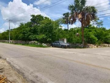 VENTA DE TERRENO MOCOCHA,YUCATAN