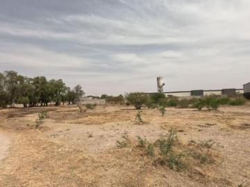VENTA DE TERRENO AGRO INDUSTRIAL