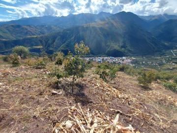 VENTA DE TERRENO AGRÍCOLA EN LIMATAMBO