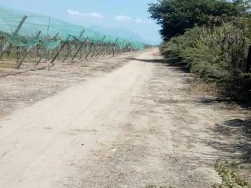 VENTA DE TERRENO AGRICOLA