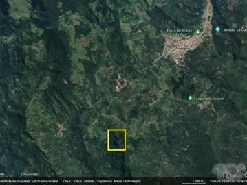 Venta de Terreno Agrícola 32.41 ha en Villa Rica Oxapampa