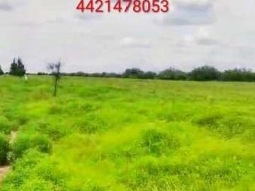 VENTA DE TERRENO AGRICOLA 47 6 HECTAREAS RIO VERDE SLP MX
