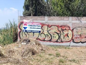 VENTA DE TERRENO BUENA UBICACION EN SANTA BARBARA 4
