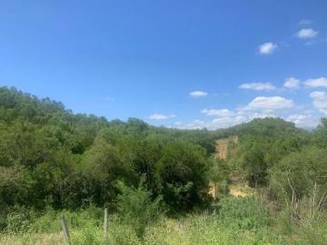 Venta de Terreno Campestre en zona de Allende, 7.1 hectáreas