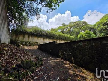 Venta de terreno campestre en el Guayabal Briones Coatepec