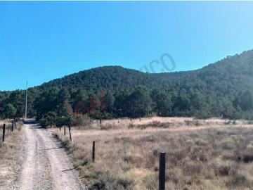 Venta de Terreno Campestre en Jame, Arteaga, Coahuila