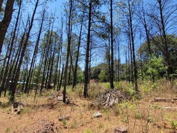 VENTA de terreno Campestre mas de 1000 m2, para cabaña en Amealco, Querétaro