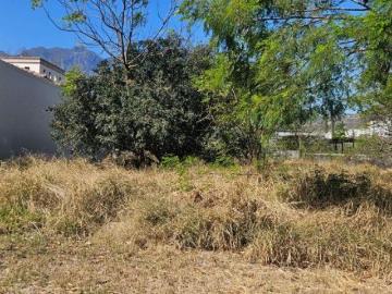 Venta de terreno, carretera nacional, el campestre Bugambilias