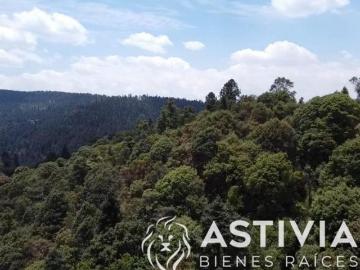 Venta de Terreno Cañada de Alférez