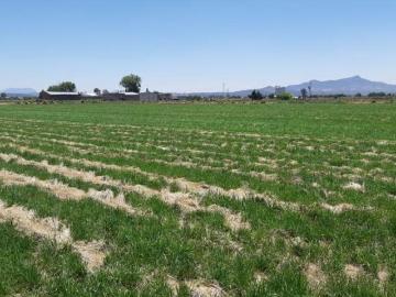 VENTA DE TERRENO CERCA DE FRACC. LOS TUZOS, PACHUCA