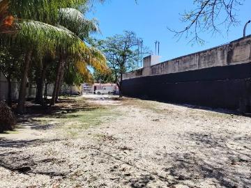 Venta de terreno comercial de 820 m2 con galera en Avenida Principal de Carmen, Campeche