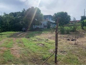 Venta de terreno comercial en La Industrial, La Chorrera