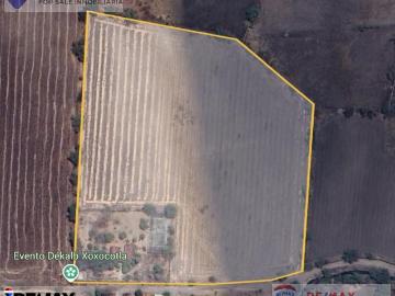 Venta de terreno de 40,431m2, Anenehuilco, Xoxocotla, Morelos?Clave 5494